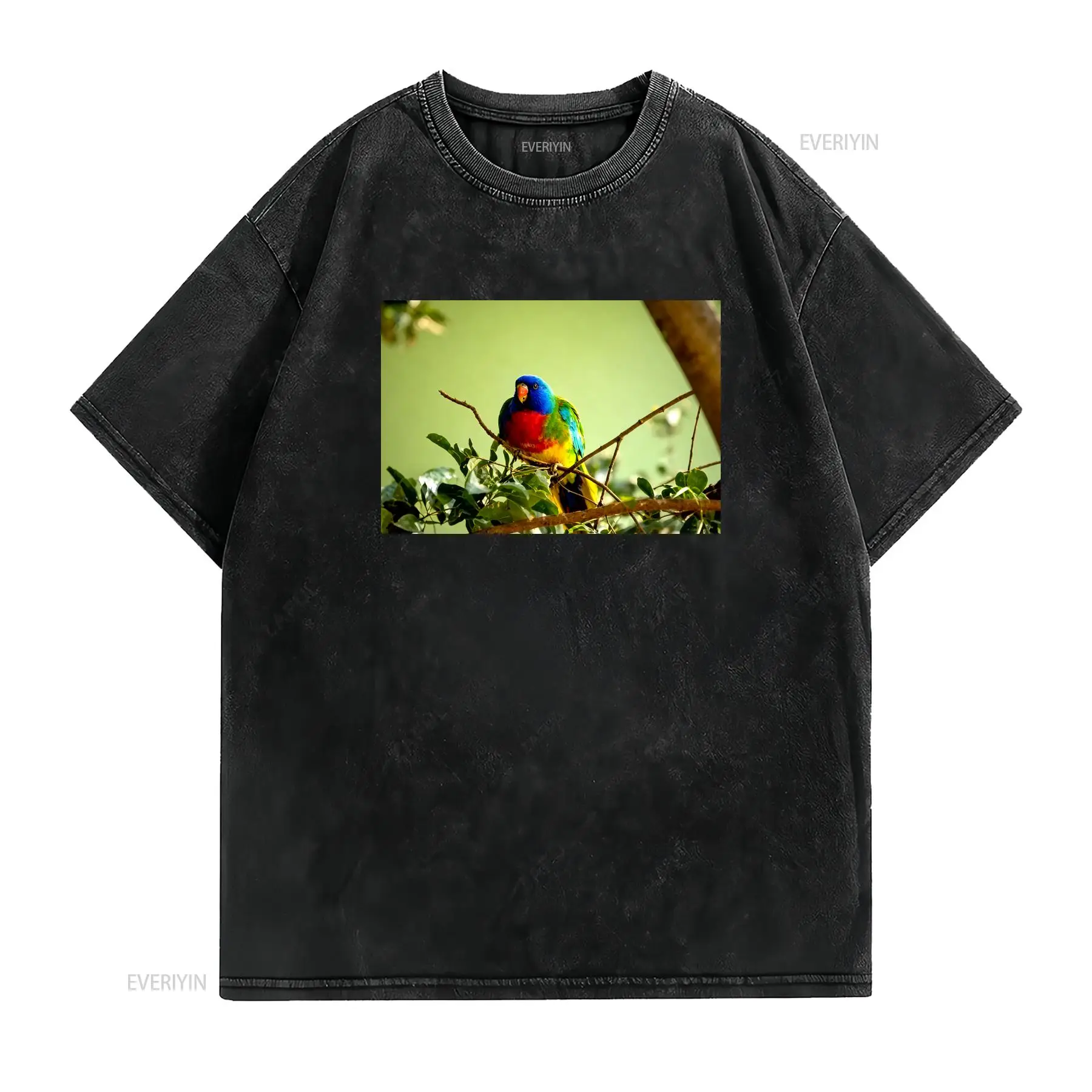 Футболка с изображением павлин – обзор и цена Mens Fashion Australia