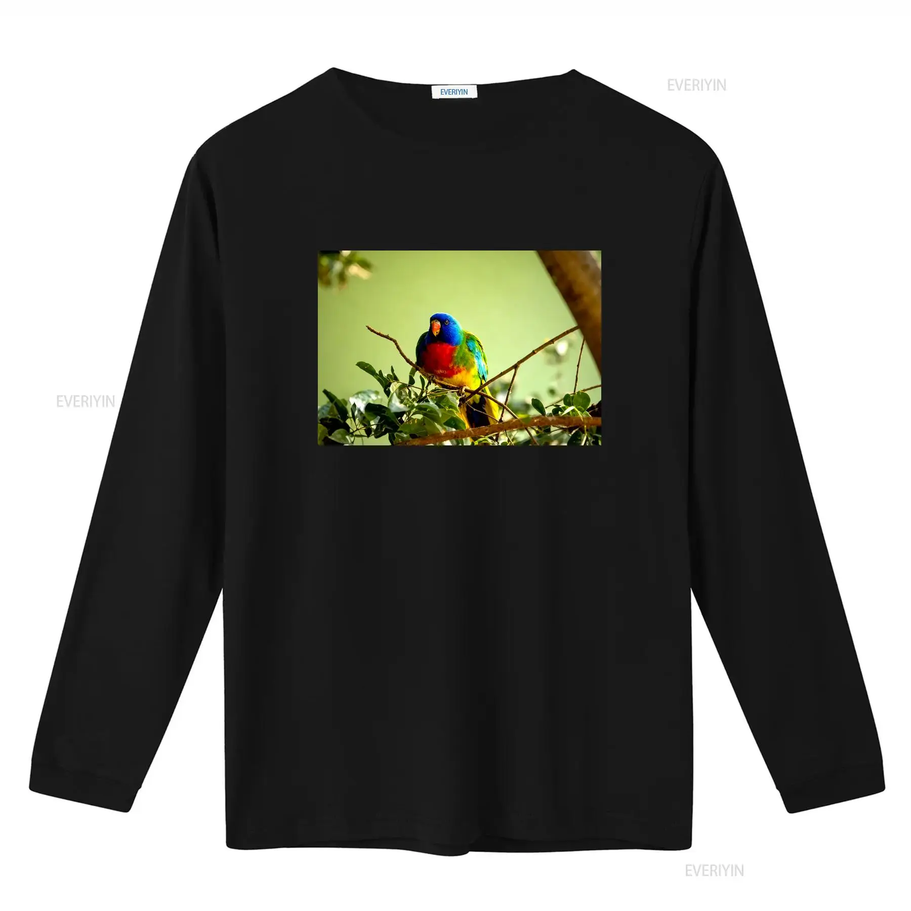 Футболка с изображением павлин – обзор и цена Mens Fashion Australia