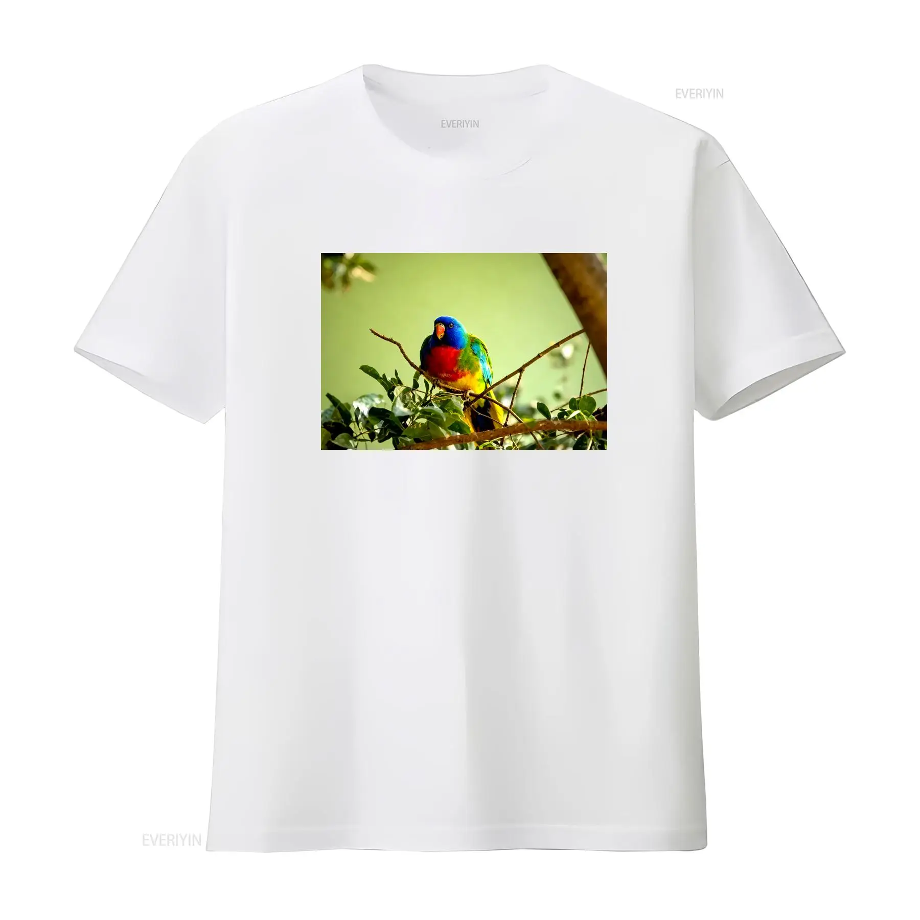 Футболка с изображением павлин – обзор и цена Mens Fashion Australia